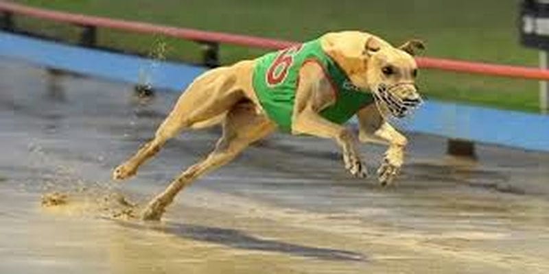 Nắm rõ các hình thức phổ thông sẽ giúp bạn tùy ý lựa chọn theo sở thích