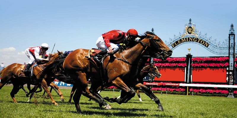 Nắm bắt một vài hình thức phổ thông, dễ bắt gặp nhất thị trường hiện nay