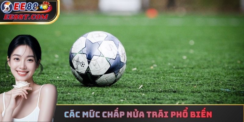 Các mức chấp nửa trái phổ biến