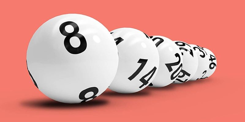 Người tham gia cần chú ý tới một số vấn đề nhất định